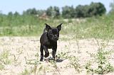 STAFFIE 041